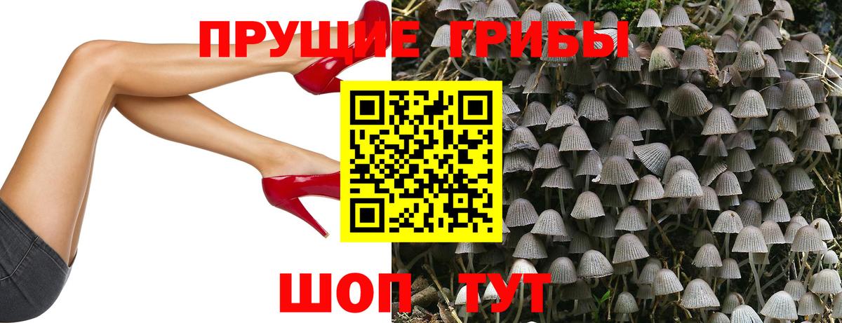 Гуково  дарнет шоп  Галлюциногенные грибы Psilocybe  Вход с VPN  Галлюциногенные грибы прущие грибы 